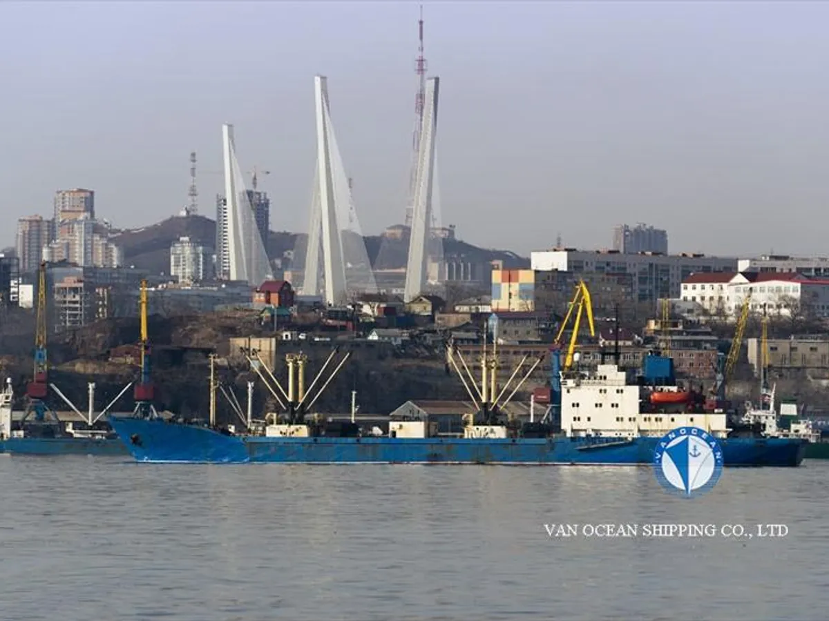 Reefer ship for sale