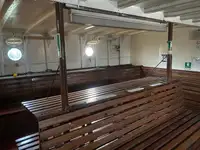 Cruise ship for sale