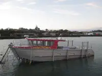 Cruise ship for sale