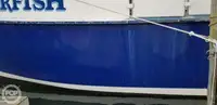 Catamaran for sale