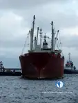 Reefer ship for sale