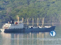 Reefer ship for sale
