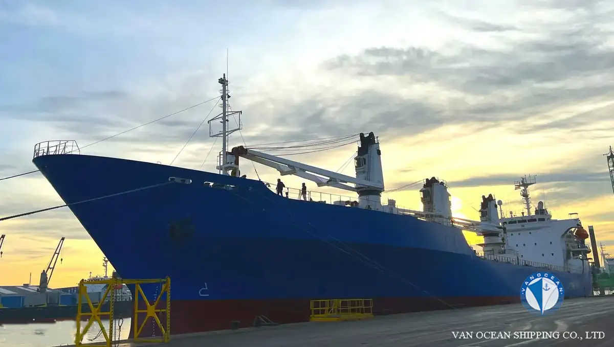 Reefer ship for sale