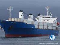 Reefer ship for sale