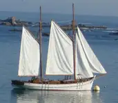 Ferry vessel for sale