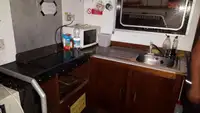 Catamaran for sale