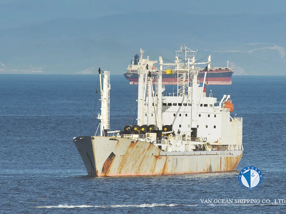 Reefer ship for sale