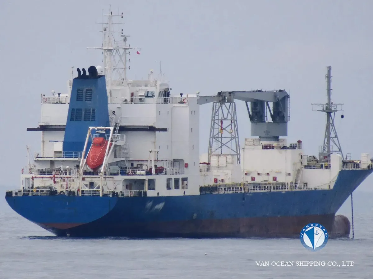 Reefer ship for sale