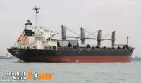 Bulk carrier for sale