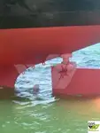 Bulk carrier for sale