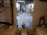 General Cargo/Multi-purpose for sale