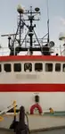 Reefer ship for sale