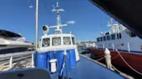 Patrol boat for sale