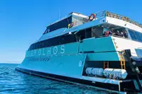 Cruise ship for sale