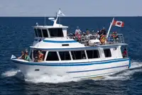 Cruise ship for sale