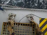 Reefer ship for sale