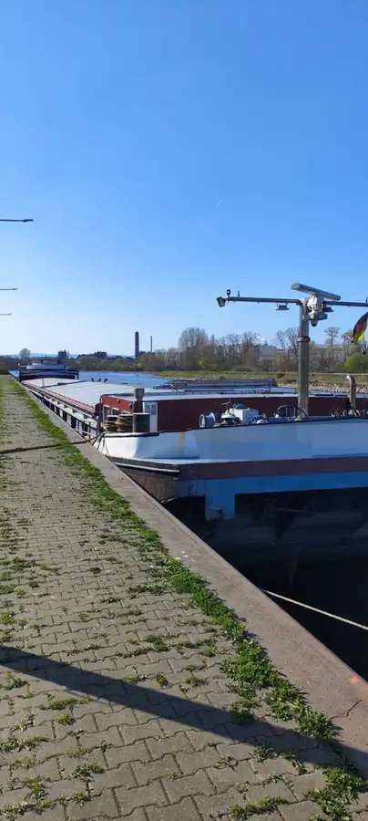 Bulk carrier for sale