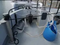 Catamaran for sale