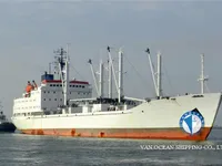 Reefer ship for sale