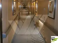 Cruise ship for sale