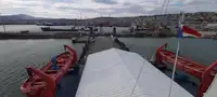 Bulk carrier for sale