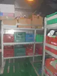 Reefer ship for sale