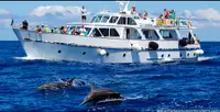 Cruise ship for sale