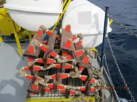 Reefer ship for sale