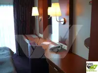 Cruise ship for sale