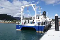Cruise ship for sale