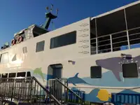 Cruise ship for sale