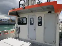 Catamaran for sale