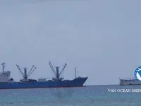 Reefer ship for sale