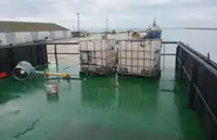 Barge for sale