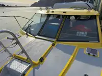 Cruise ship for sale