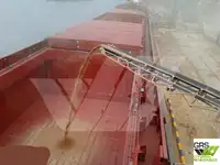 Bulk carrier for sale