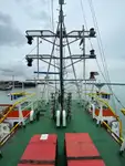 Reefer ship for sale
