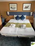 Cruise ship for sale