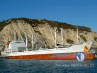 Reefer ship for sale