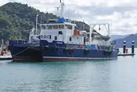 Cruise ship for sale