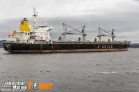 Bulk carrier for sale