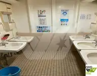 Ro-Ro ship for sale