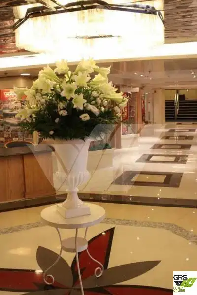 Cruise ship for sale