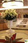 Cruise ship for sale