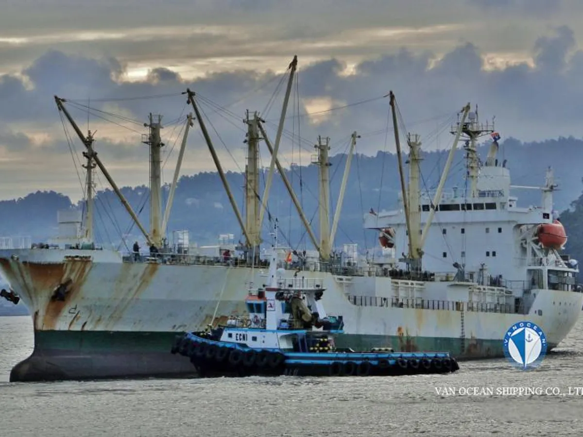Reefer ship for sale