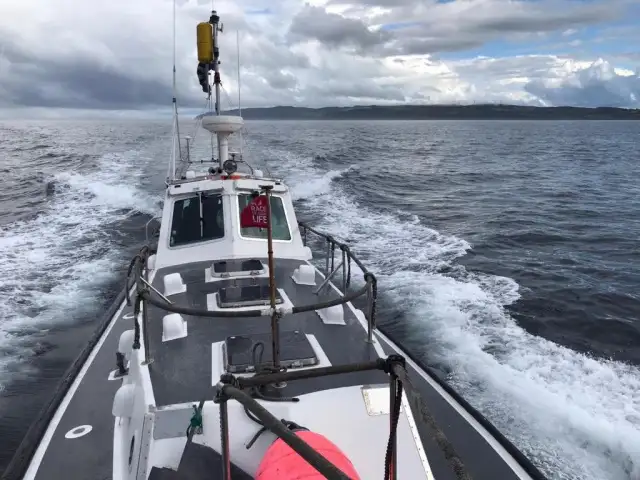 Pilot boat for sale