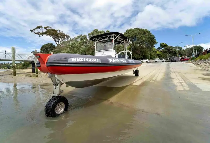 Amphibious for sale