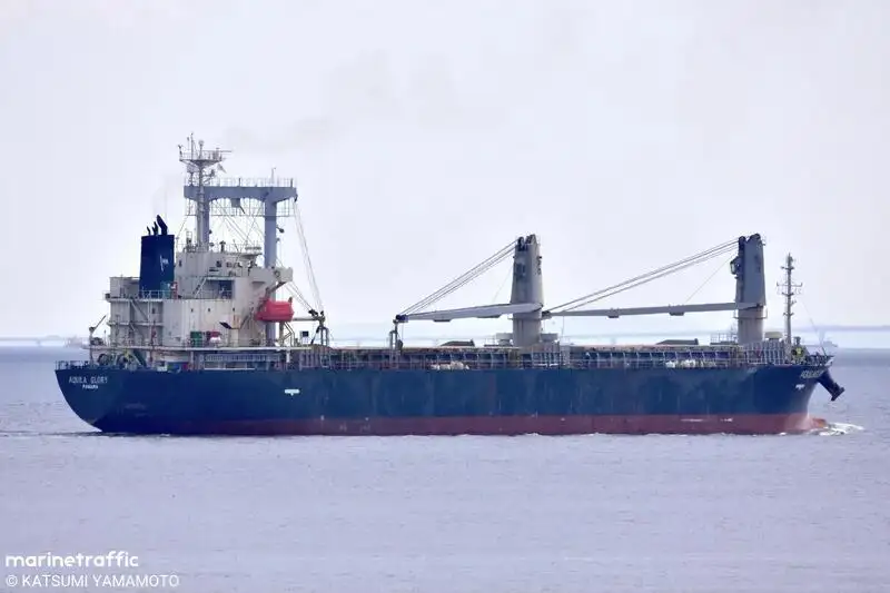 Bulk carrier for sale