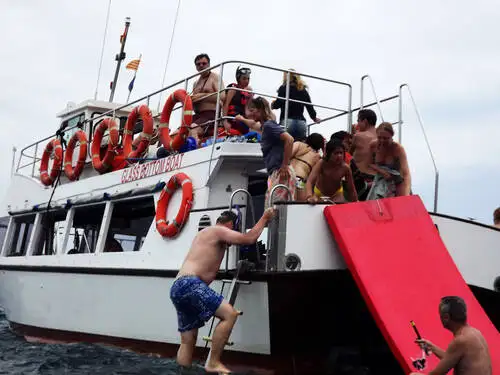 Dive support for sale