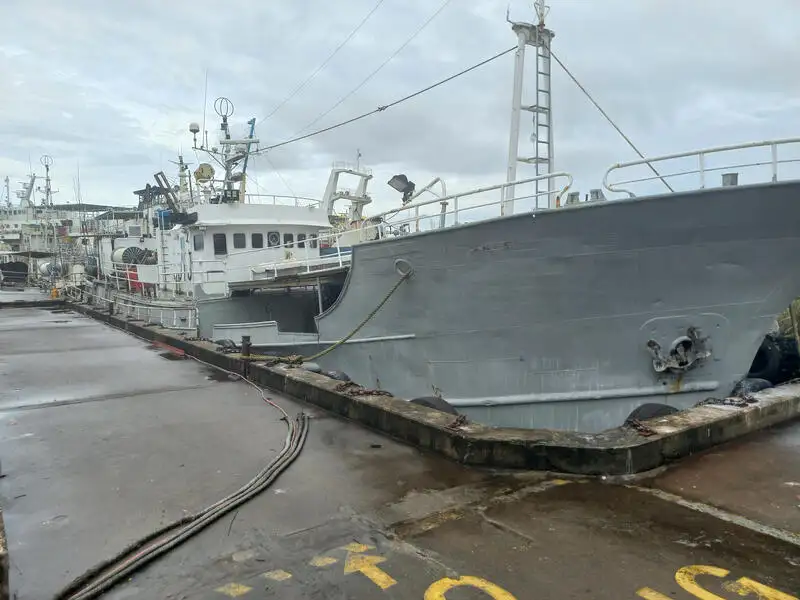 Longline vessel for sale